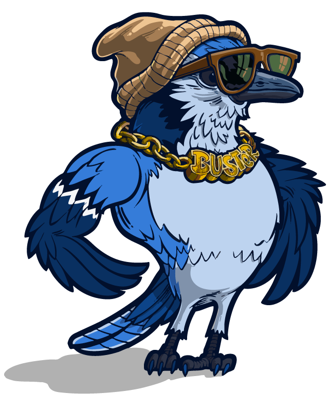 Buster BlueJay