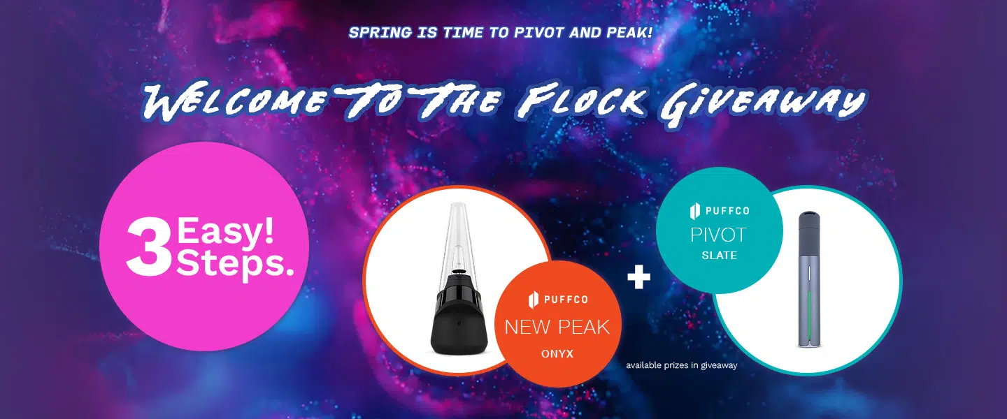 Welcome to the Flock Giveaway