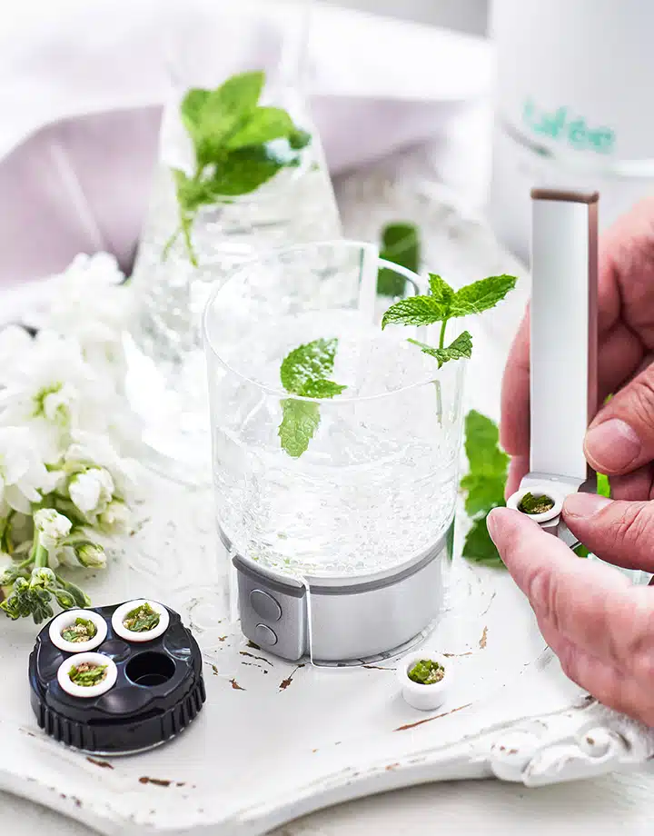 Tafee Bowle 2 Lifestyle Photo — Mint leaves in carbonated beverage