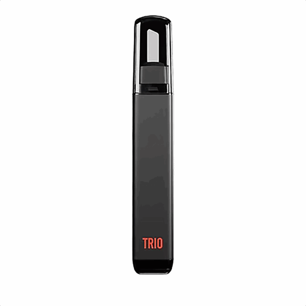 Bear Quartz Trio Black Back