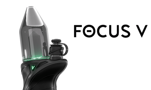 Focus V Carta Sport