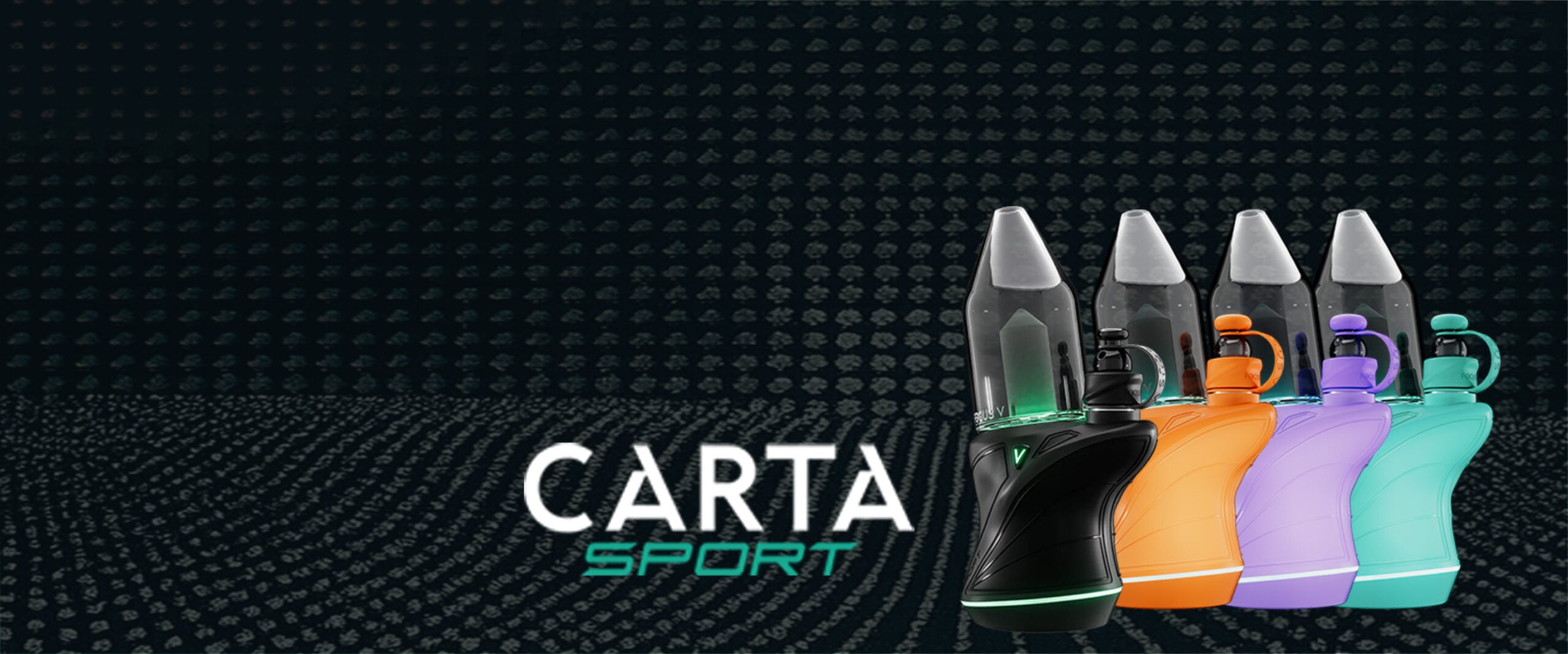 Focus V Carta Sport